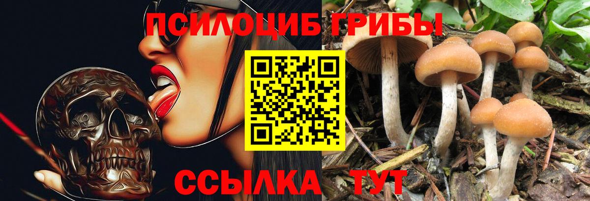 Псилоцибиновые грибы Psilocybine cubensis  дарнет шоп  Усинск  Галлюциногенные грибы ЛСД  Вход с VPN 